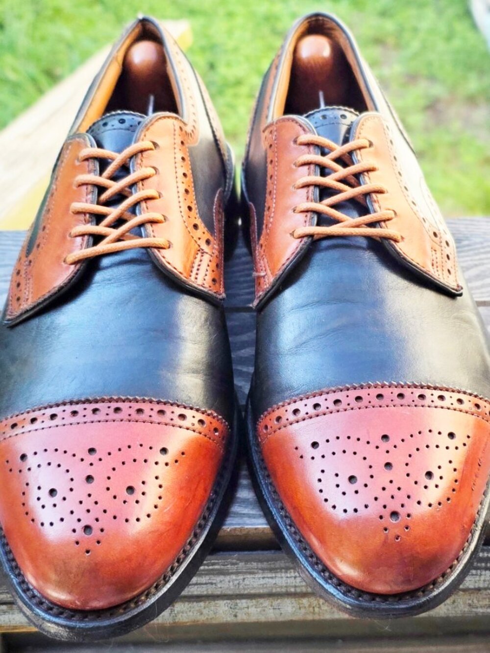Allen Edmonds Multi-Color Sanford 8.5-D Cap Toe Derby Mens Leather Dress Shoes